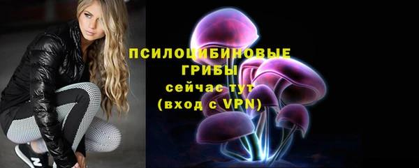 СК Белокуриха