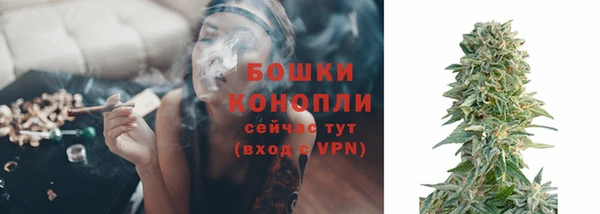 СК Белокуриха