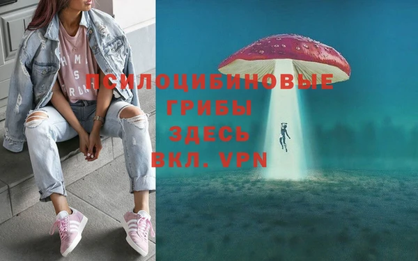 эйфоретик Беломорск