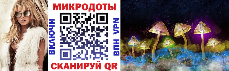 Псилоцибиновые грибы Cubensis  мега как войти  Горячий Ключ 
